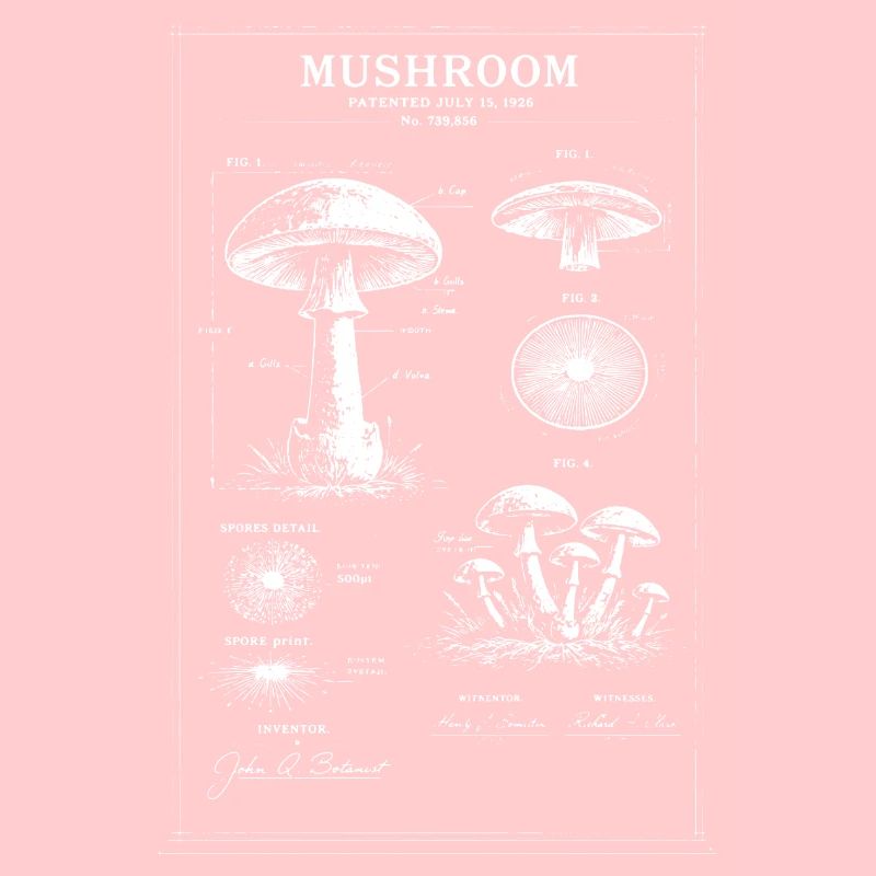 Art botanique de plans champignons