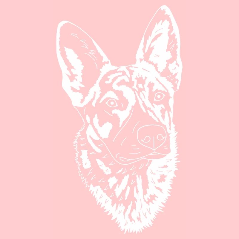 Holländischer Schäferhund