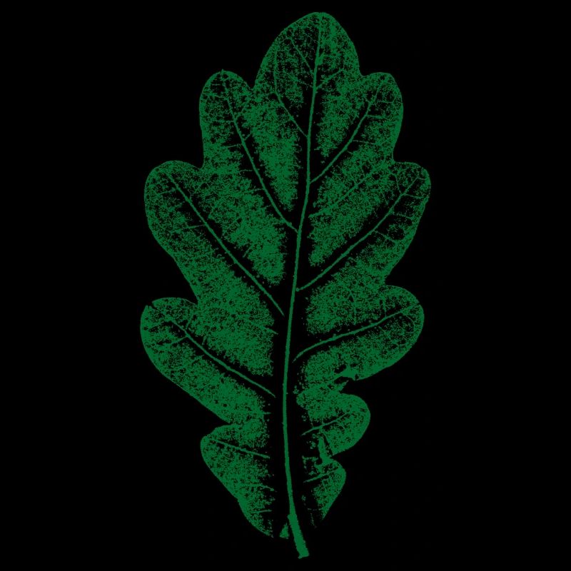Vert Feuille de Chêne - Monocolore - Feuille/Chêne/ Arbre