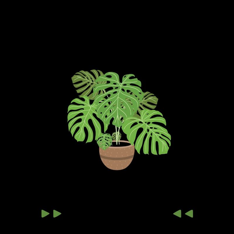 Monstera