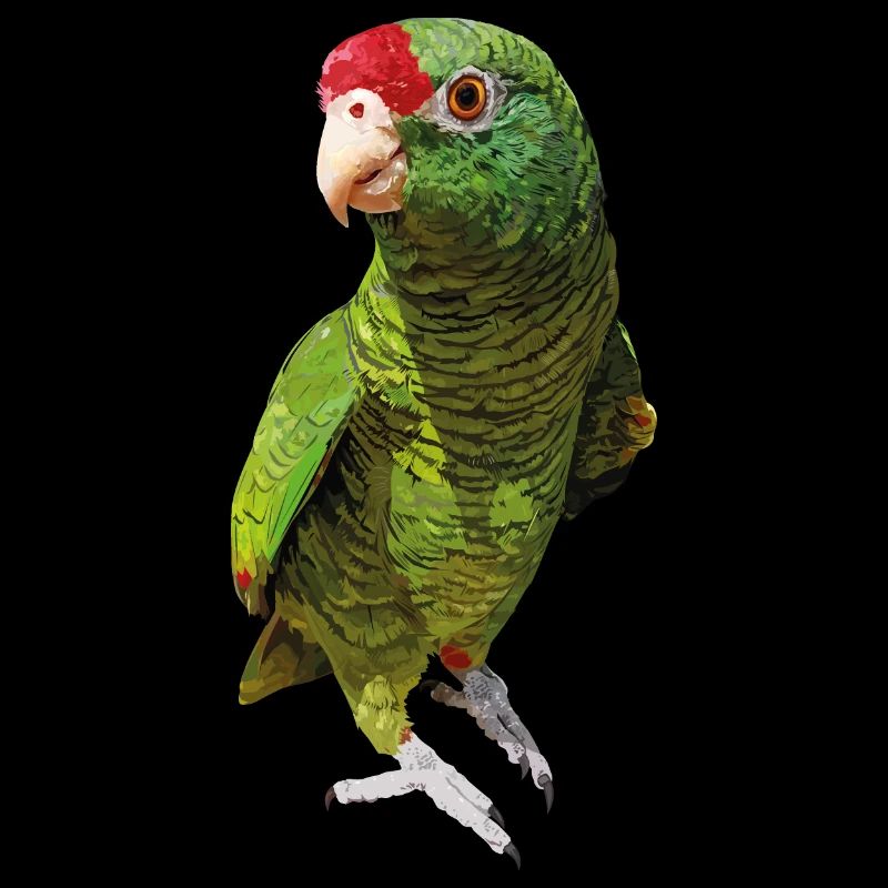 Tucumana amazon