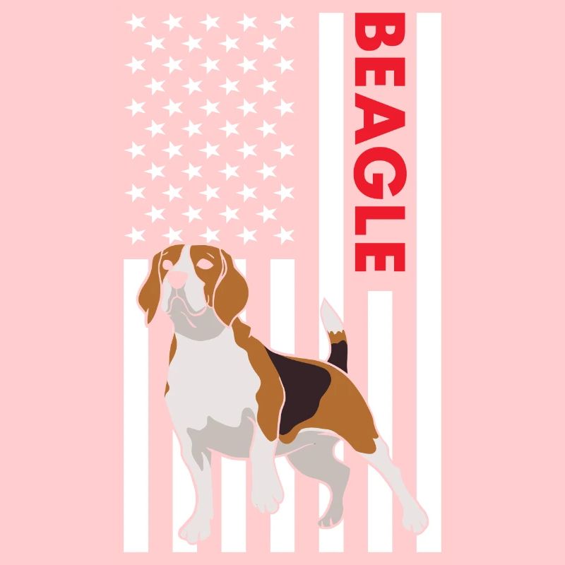 Drapeau Beagle Us