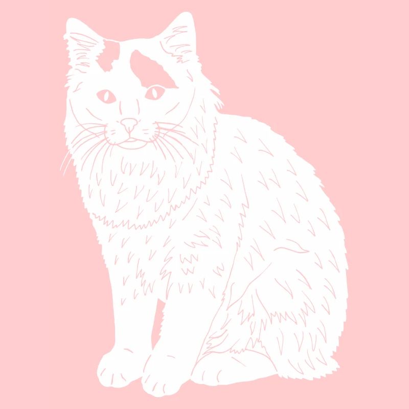 Türkisch Van Katze