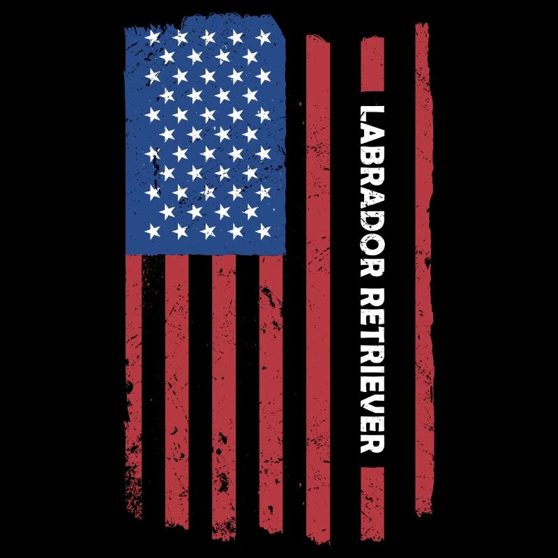 Labrador Retriever Us Flag