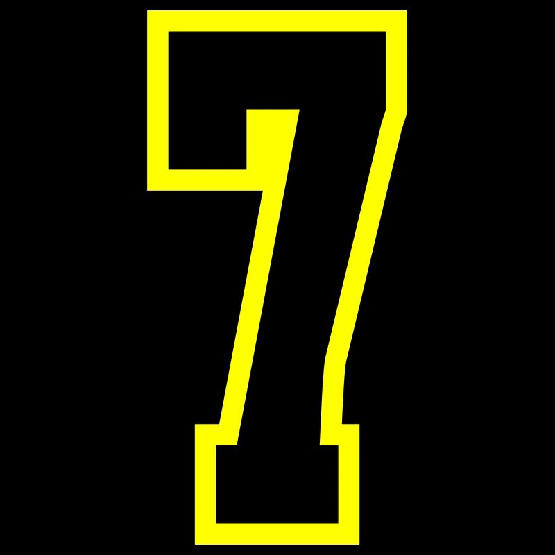 7 Number Leotard