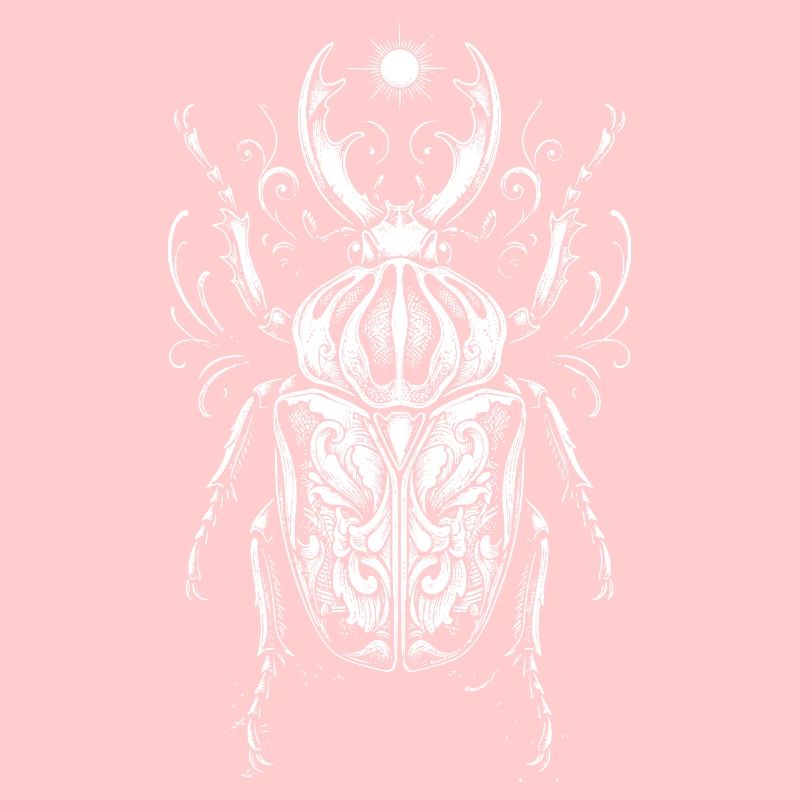 Conception anatomique des insectes
