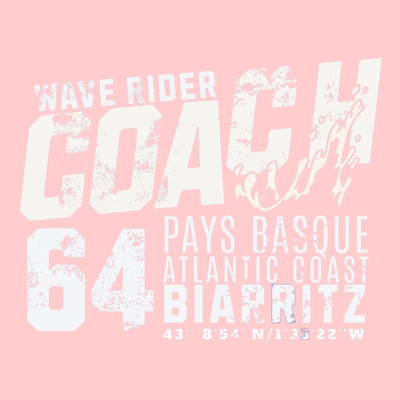 Wave rider coach Biarritz basque country