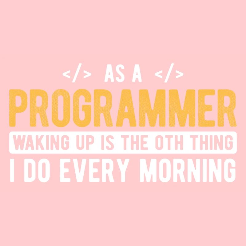 Software Ingenieur Informatiker Programmierer