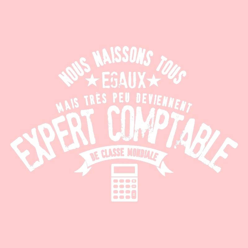 Expert Comptable