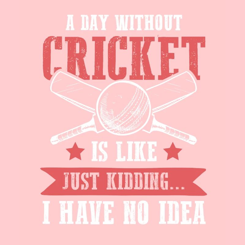 Équipe de cricket