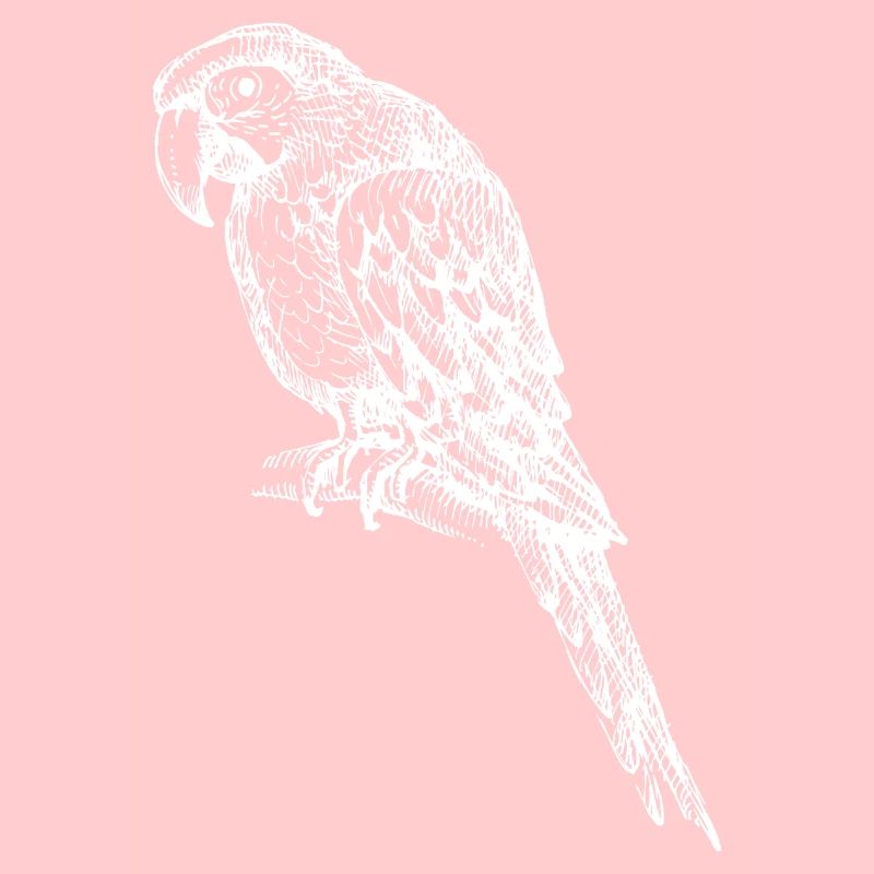 Parrot Tropical Exotic