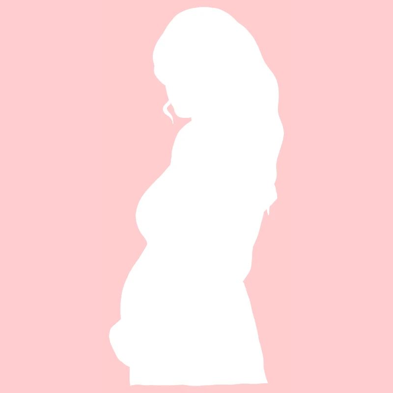 Enceinte