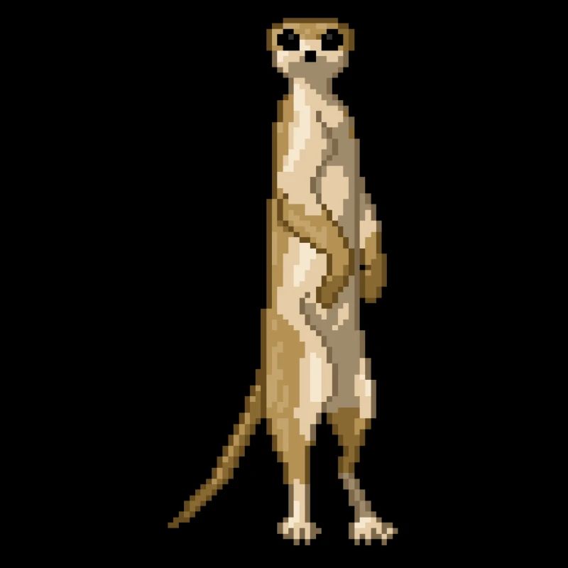 Suricate