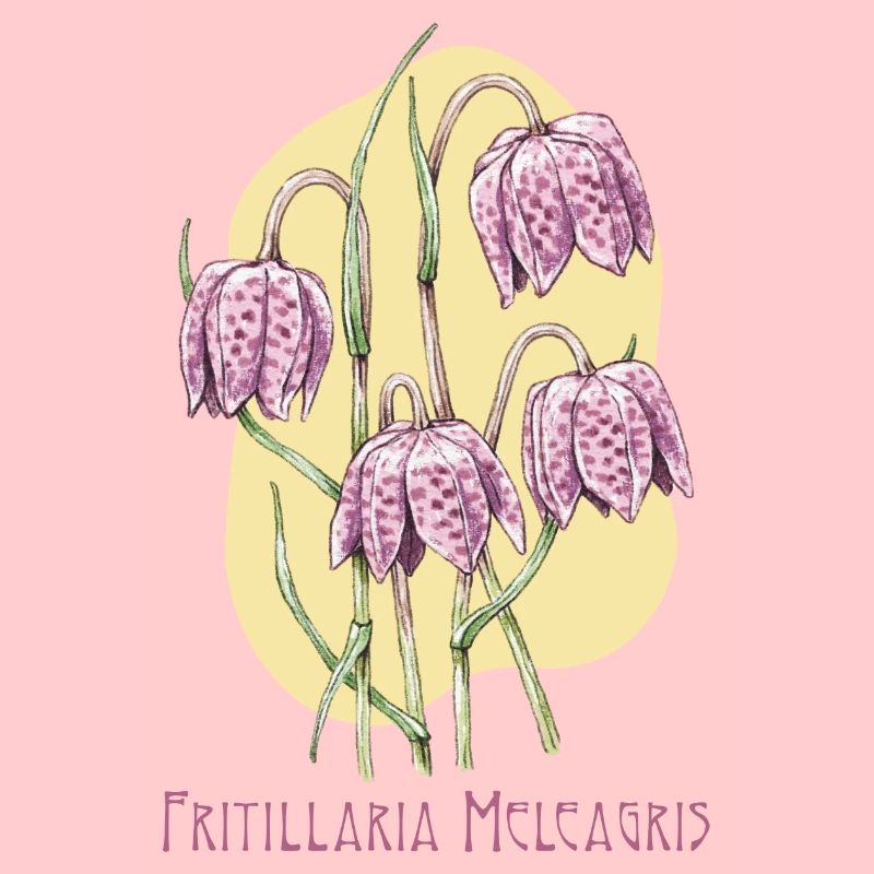 Cube checkerboard botanical drawing