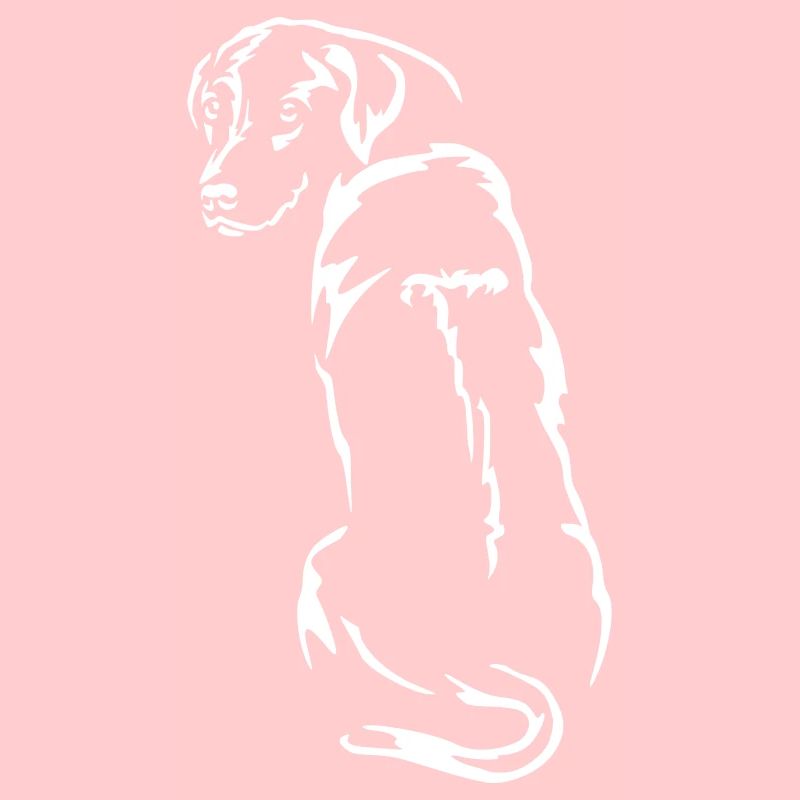 Rhodesian Ridgeback « Black Edition »