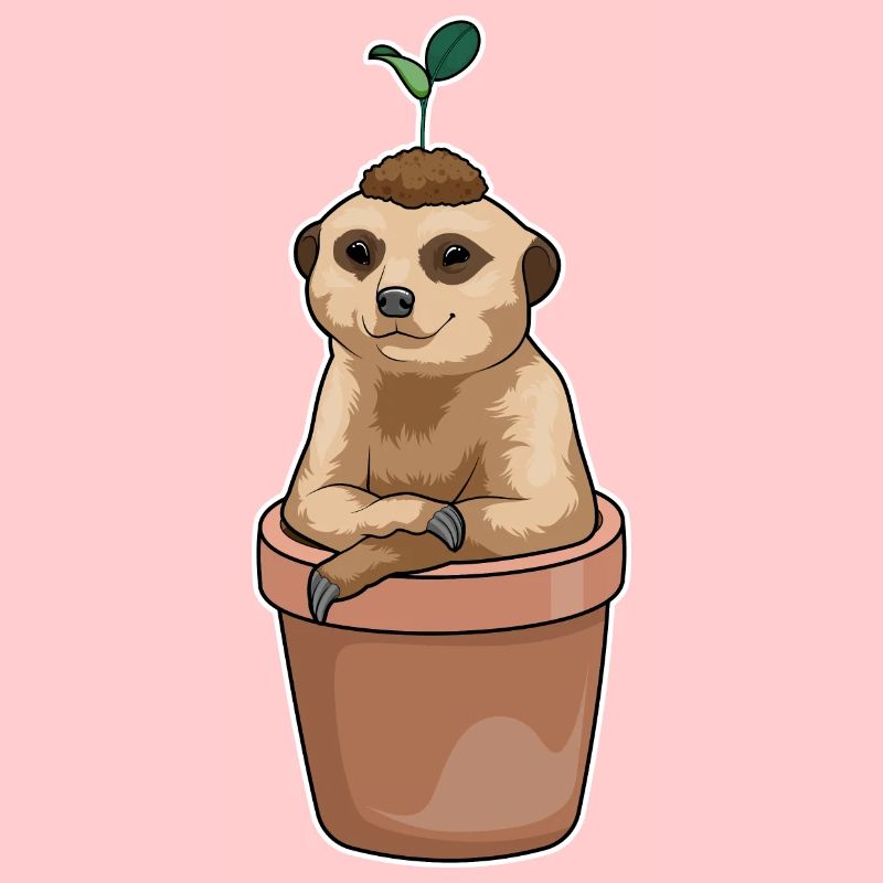 Erdmännchen Blumentopf Pflanze