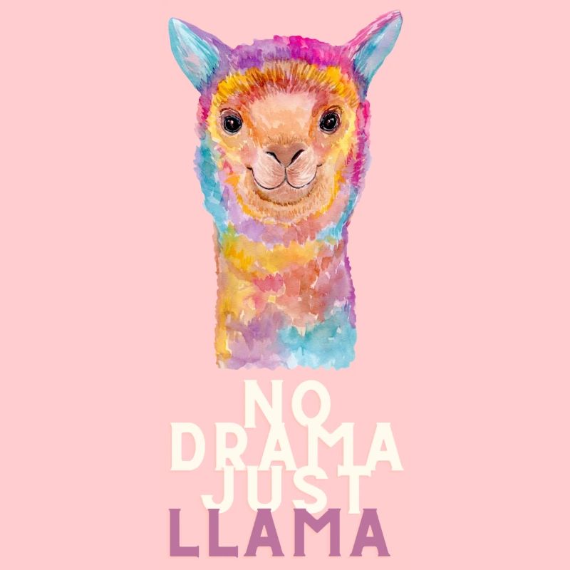 Pas de drame juste llama idée cadeau animaux