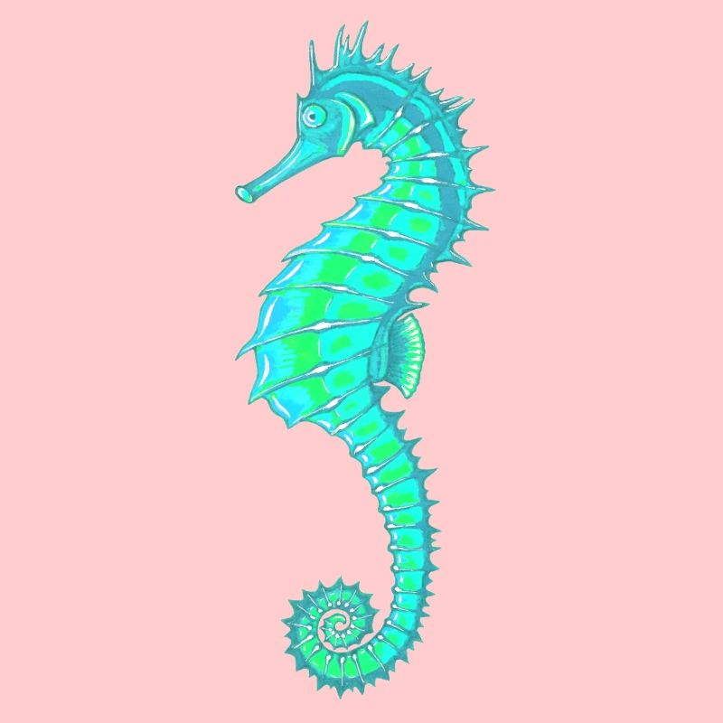 Seepferdchen Türkis. Meeresleben. Seepferdchen