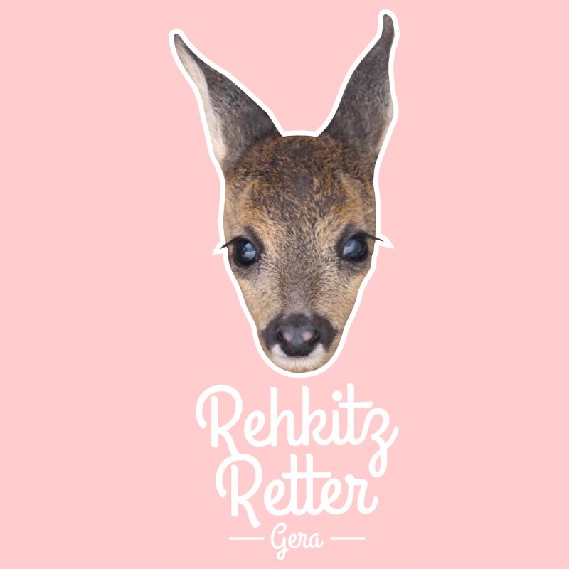 Rehkitz 1