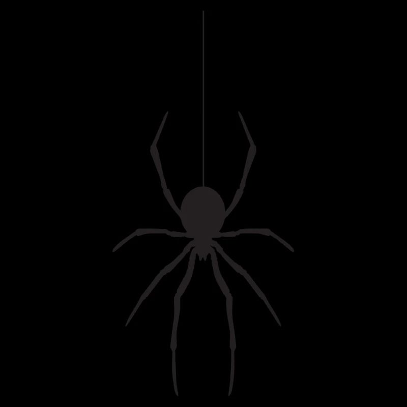 Spinne