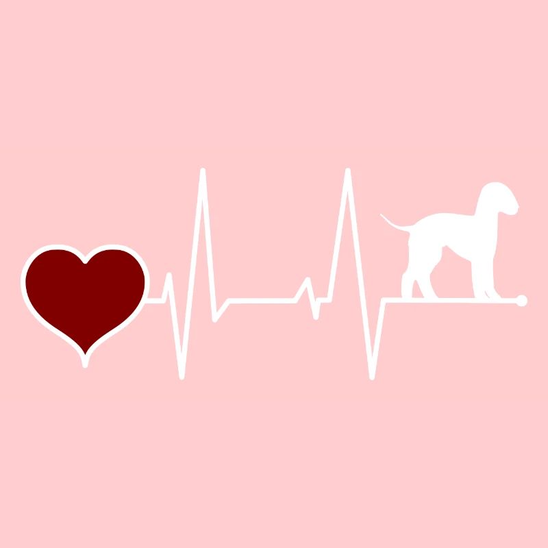 Bedlington Terrier Herzschlag