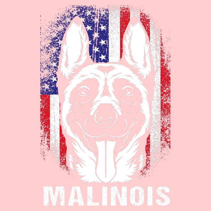 Belgischer Malinois