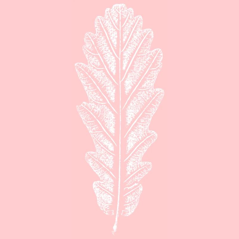 Feuille de chêne / Feuilles Empreinte: