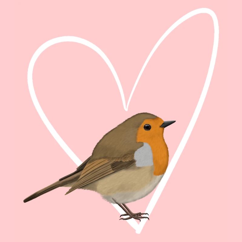 Rotkehlchen Herz Vogel Vogelbeobachter Singvogel