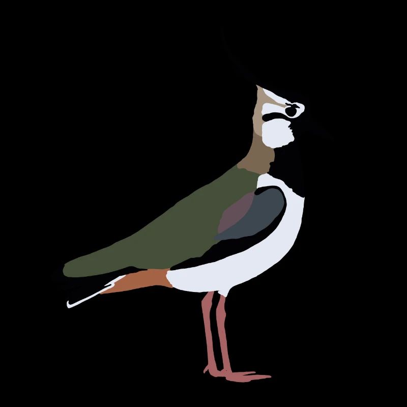 lapwing