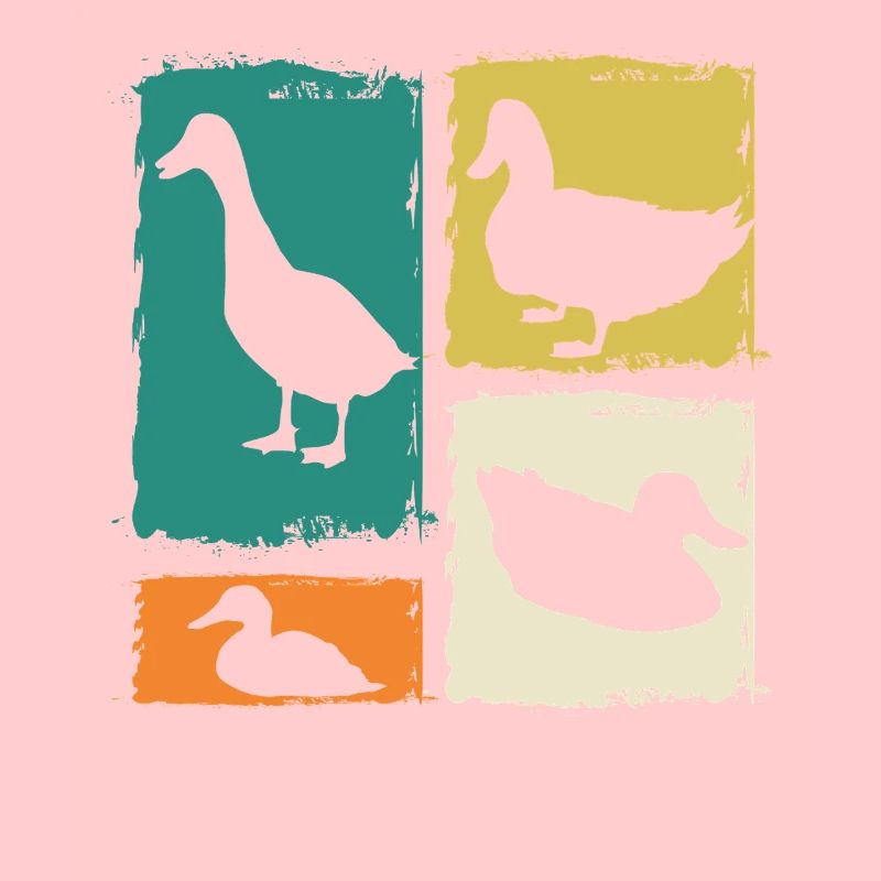 Canards