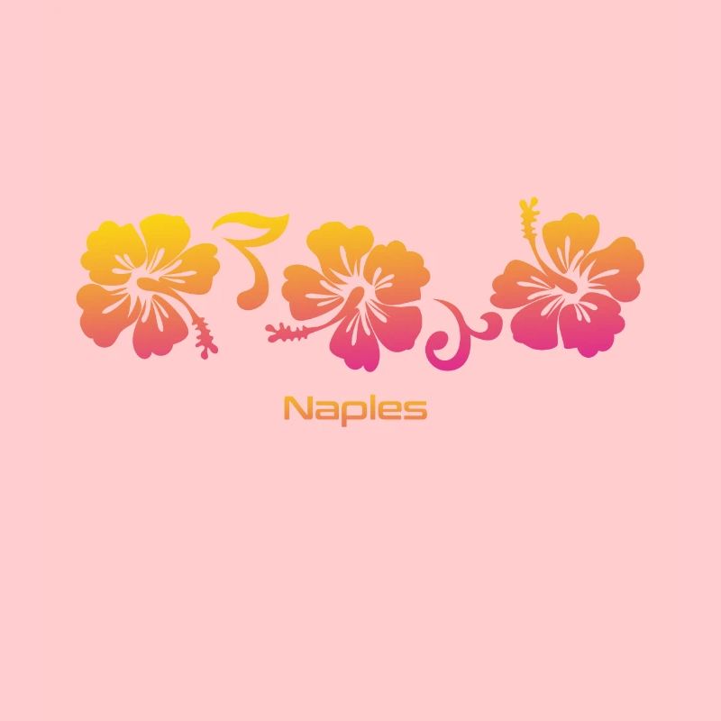 Naples Florida Hibiscus Souvenir Vacation