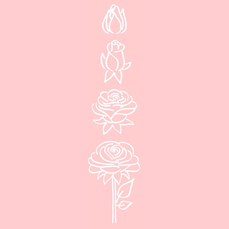 éclosion d'une fleur blanche