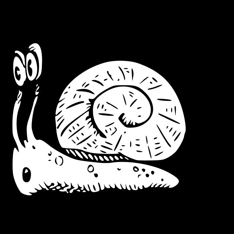 2020 08 30 escargot 06 noir blanc
