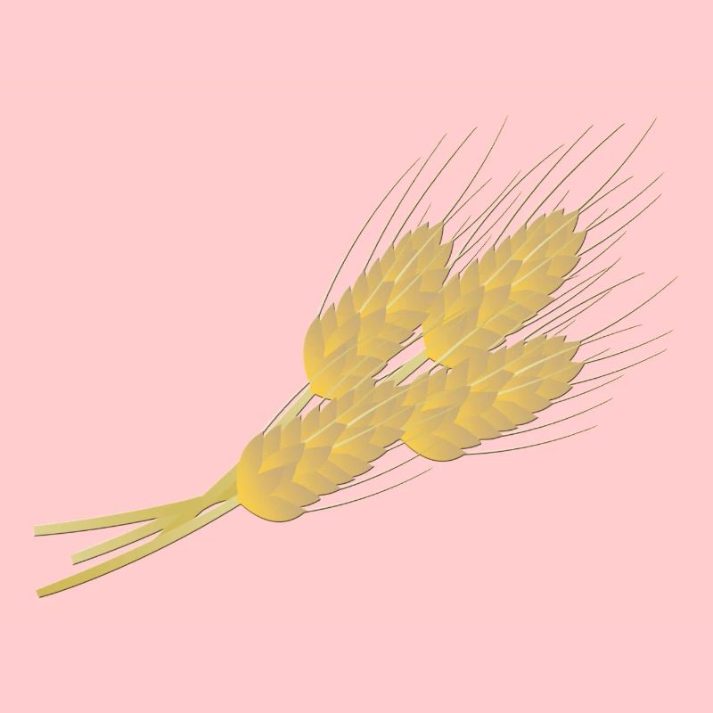 getreide corn cereal wheat weizen veggie gemuese v