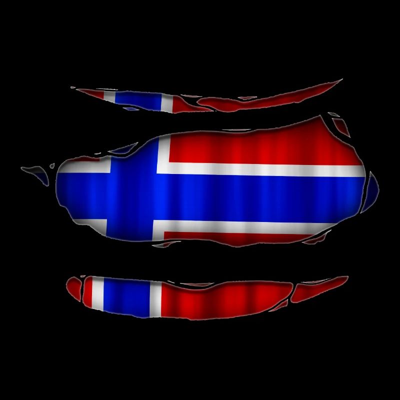 Norway flag torn 017