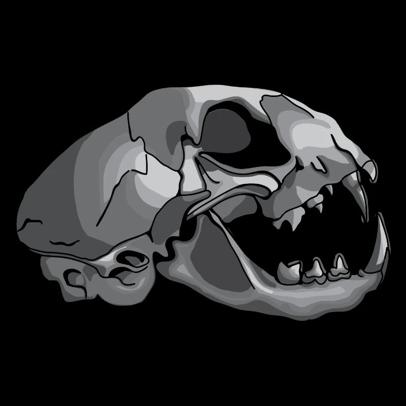 cat skull