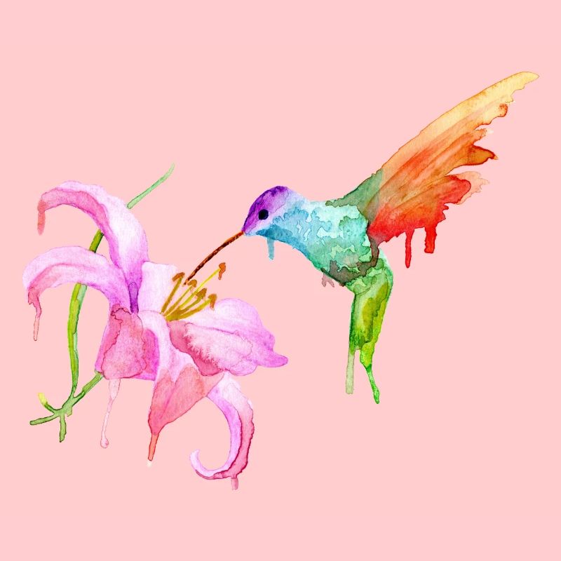 humming-bird