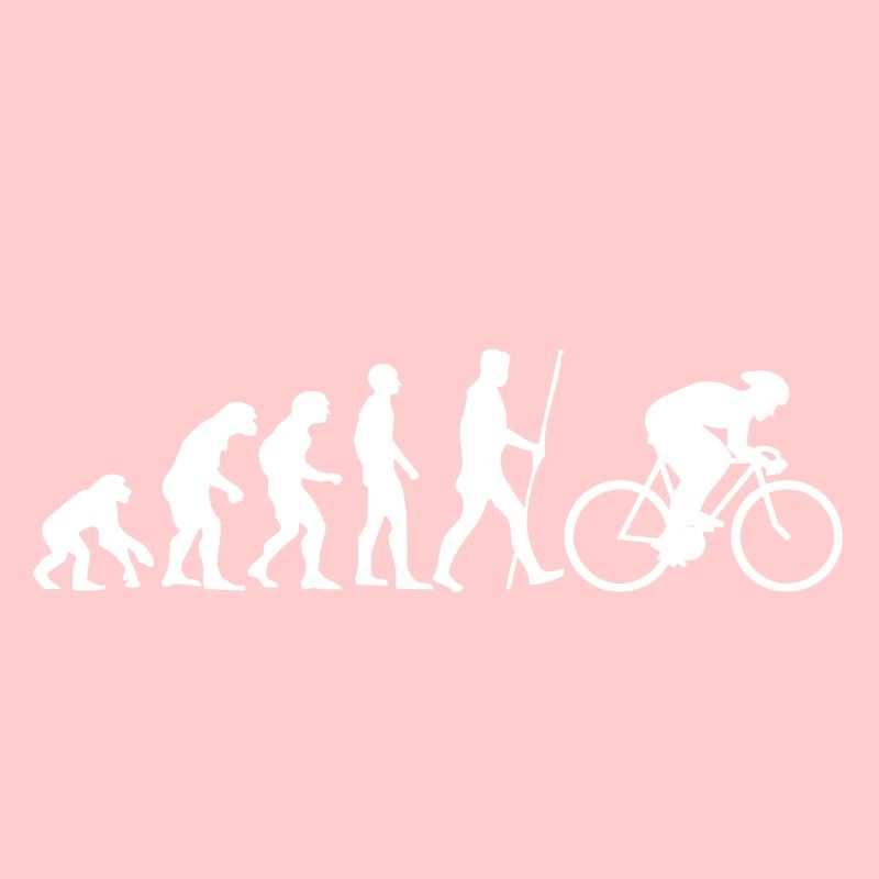 Evolution road bicycle as a gift