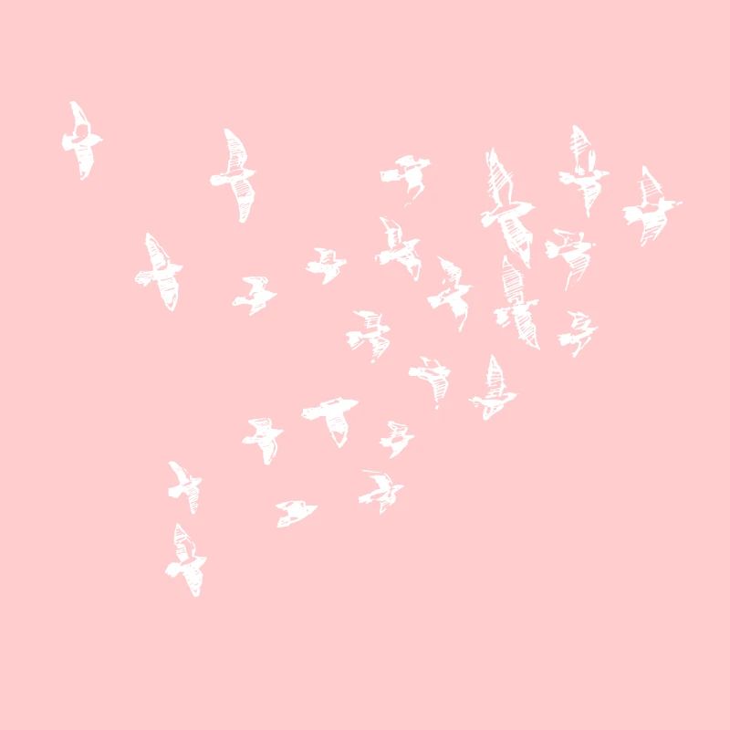 oiseaux