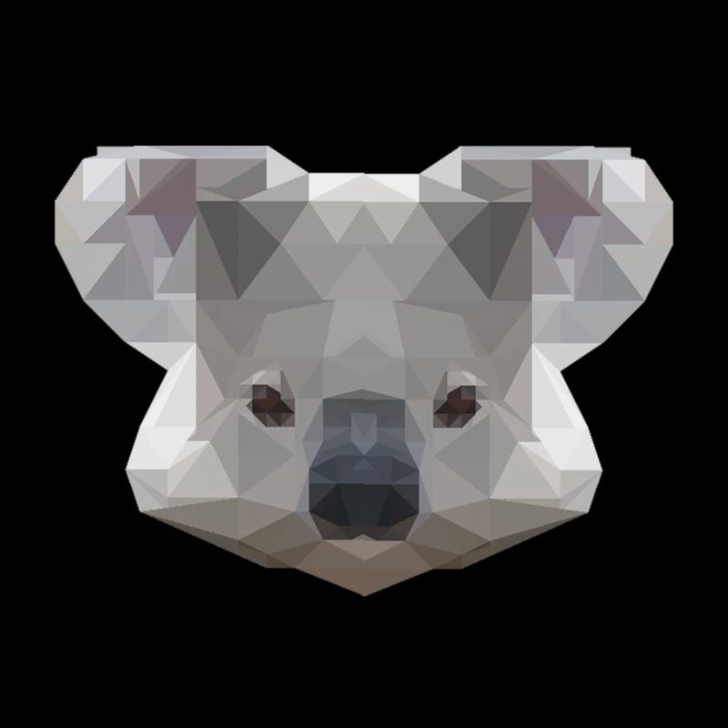Mr Koala