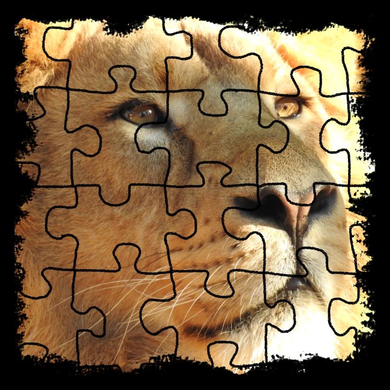 Lion puzzle, symbole de force et de force