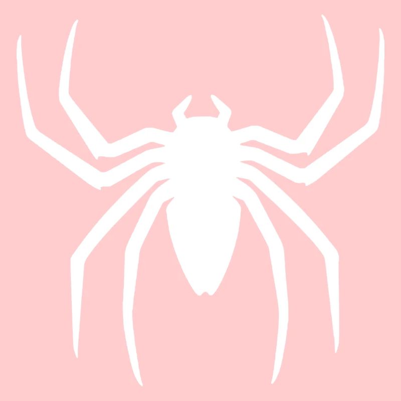 Tarantula tarentule arachnide Spider Spider