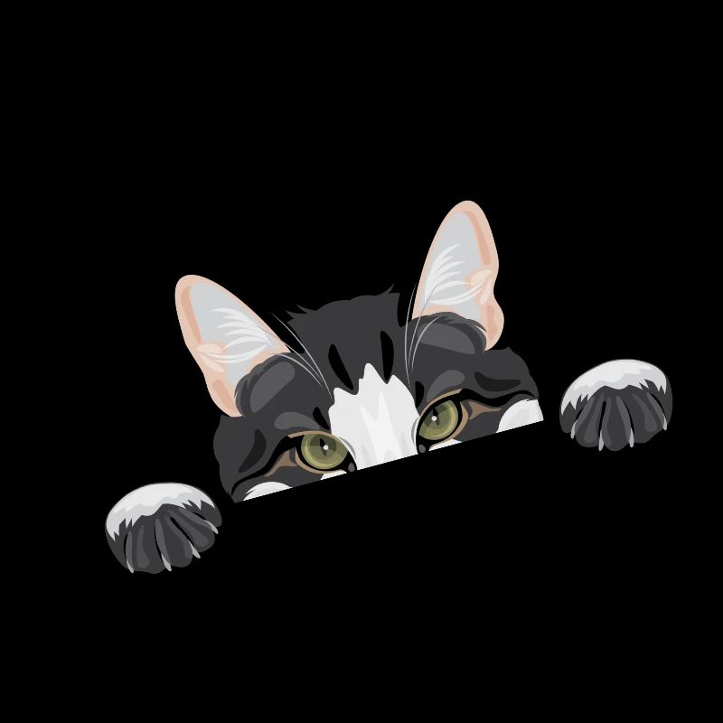 drôle de chat