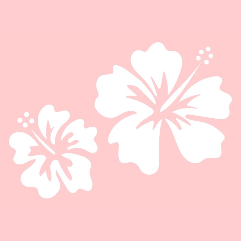 Hibiscus blanc