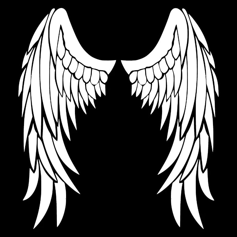 ailes d'anges