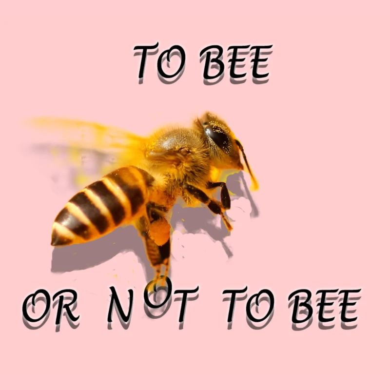 Biene sein oder nicht