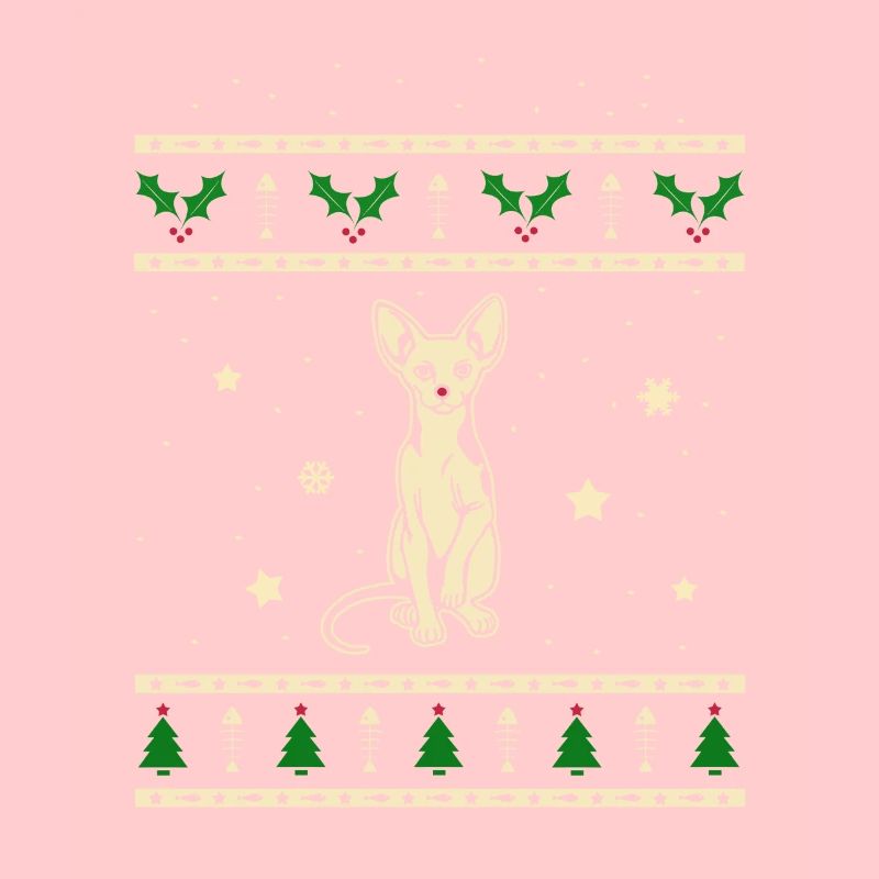 Sphynx Weihnachtsgeschenk
