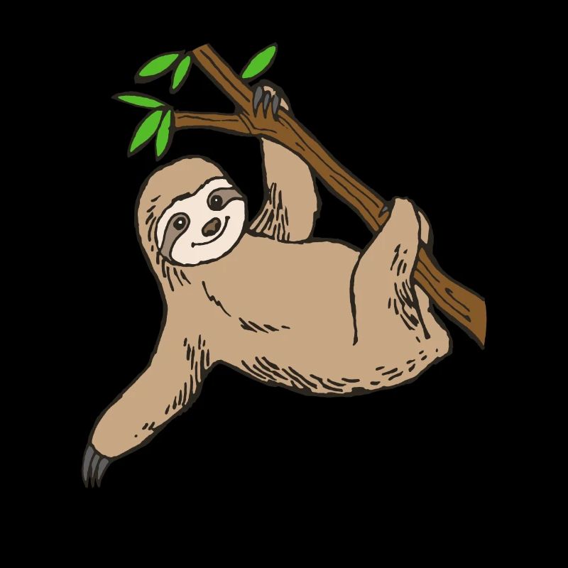 sloth