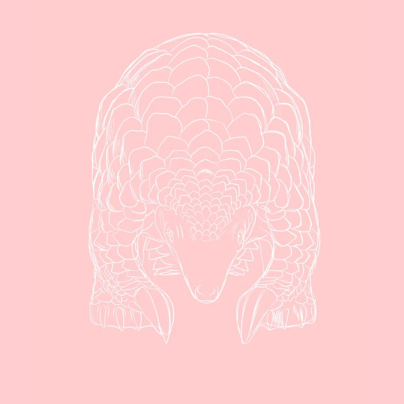 Pangolin