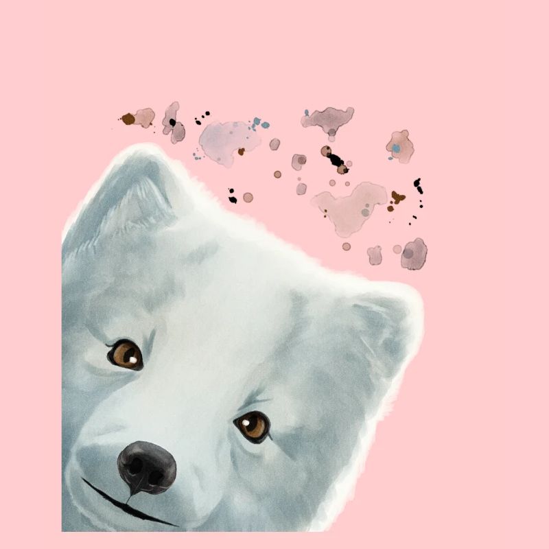 Neugieriger Polarfuchs